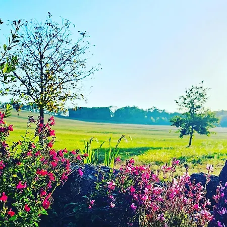 Bed & Breakfast Domaine Au Marchay Nojals-et-Clotte